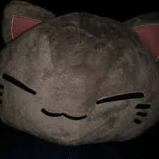 kadse :nonbinary_flag: